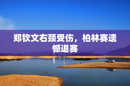 郑钦文右颈受伤，柏林赛遗憾退赛