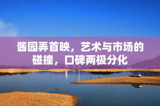 酱园弄首映，艺术与市场的碰撞，口碑两极分化