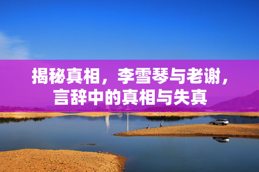 揭秘真相，李雪琴与老谢，言辞中的真相与失真