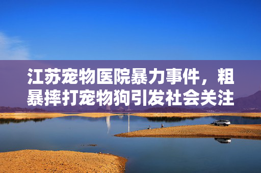 江苏宠物医院暴力事件，粗暴摔打宠物狗引发社会关注