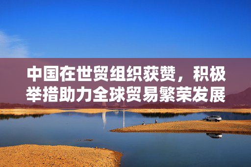 中国在世贸组织获赞，积极举措助力全球贸易繁荣发展