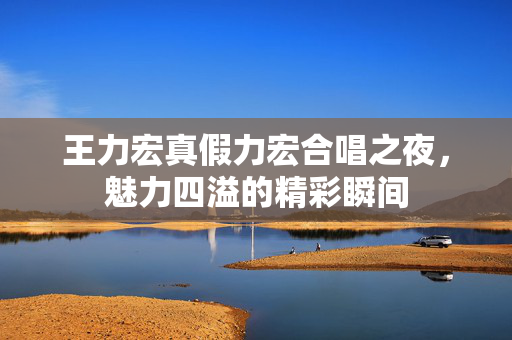 王力宏真假力宏合唱之夜，魅力四溢的精彩瞬间