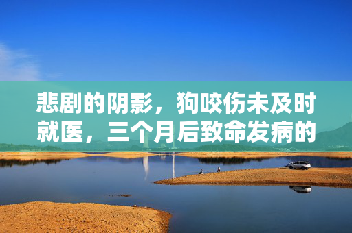 悲剧的阴影，狗咬伤未及时就医，三个月后致命发病的悲剧故事