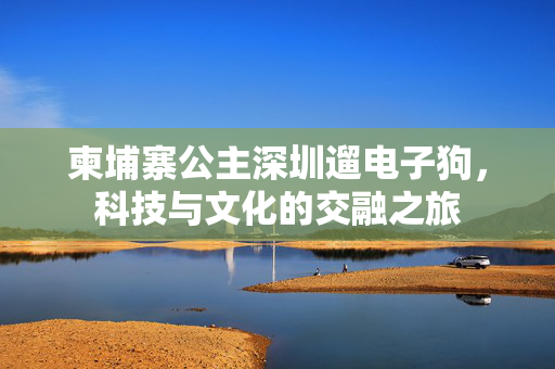 柬埔寨公主深圳遛电子狗，科技与文化的交融之旅