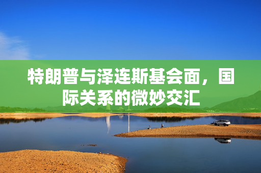 特朗普与泽连斯基会面，国际关系的微妙交汇