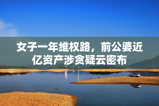 女子一年维权路，前公婆近亿资产涉贪疑云密布