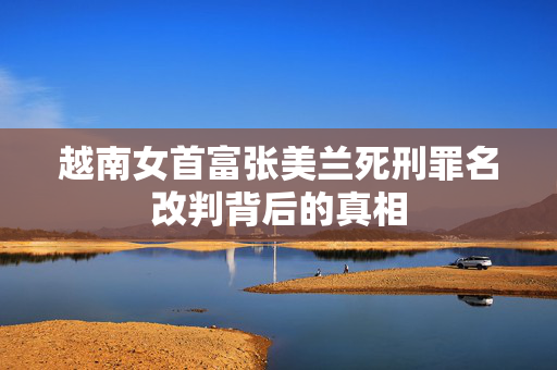 越南女首富张美兰死刑罪名改判背后的真相