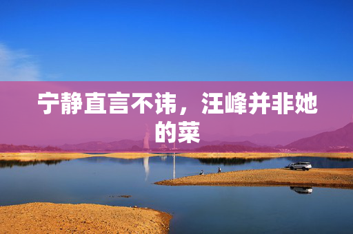 宁静直言不讳，汪峰并非她的菜