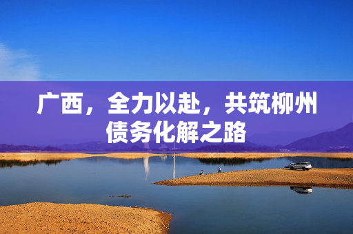 广西，全力以赴，共筑柳州债务化解之路