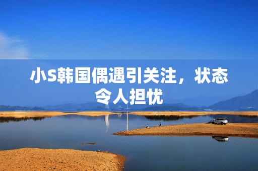 小S韩国偶遇引关注，状态令人担忧