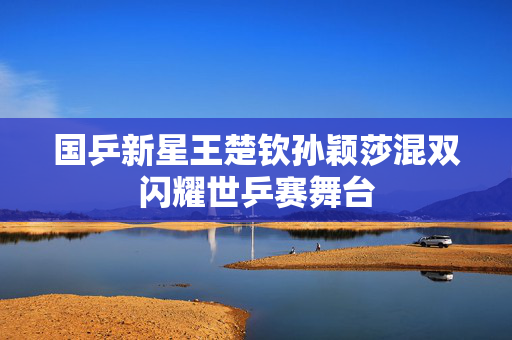 国乒新星王楚钦孙颖莎混双闪耀世乒赛舞台