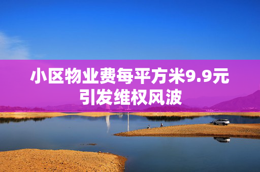 小区物业费每平方米9.9元引发维权风波