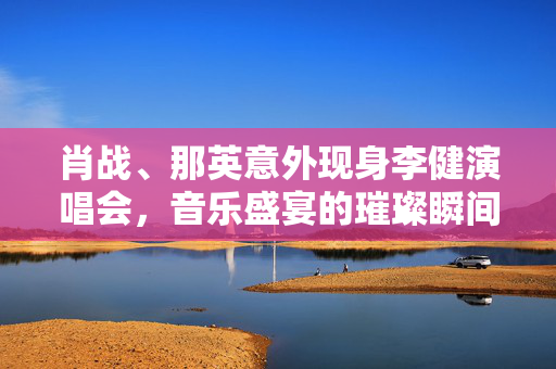 肖战、那英意外现身李健演唱会，音乐盛宴的璀璨瞬间