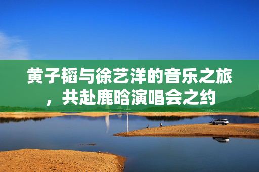 黄子韬与徐艺洋的音乐之旅，共赴鹿晗演唱会之约