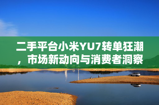 二手平台小米YU7转单狂潮，市场新动向与消费者洞察分析