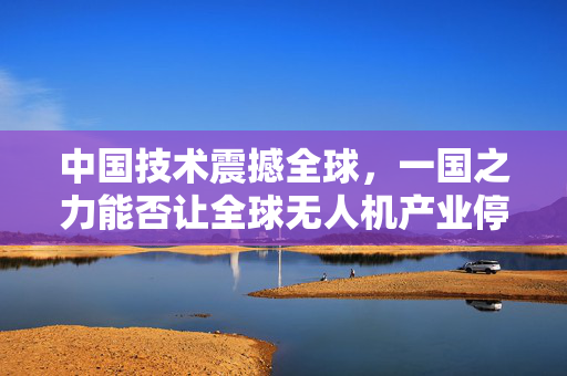 中国技术震撼全球，一国之力能否让全球无人机产业停摆一年？
