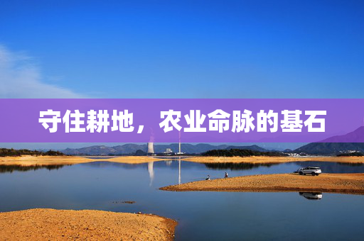 守住耕地，农业命脉的基石