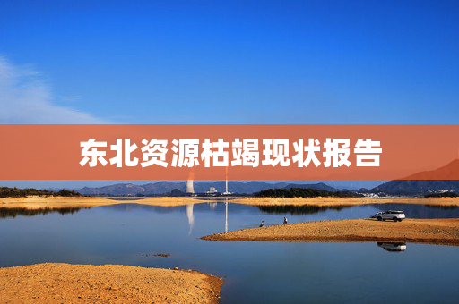 东北资源枯竭现状报告