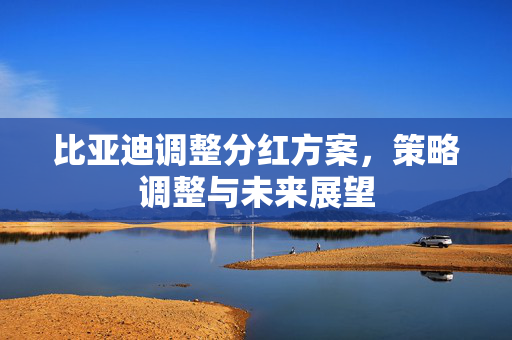 比亚迪调整分红方案，策略调整与未来展望