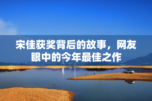 宋佳获奖背后的故事，网友眼中的今年最佳之作