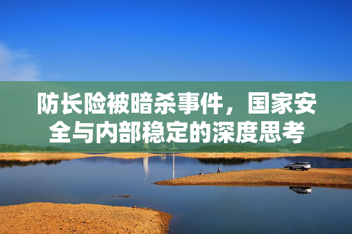 防长险被暗杀事件，国家安全与内部稳定的深度思考