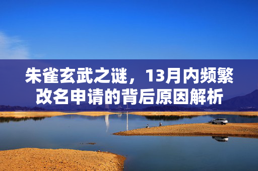 朱雀玄武之谜，13月内频繁改名申请的背后原因解析