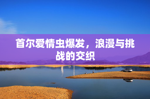首尔爱情虫爆发，浪漫与挑战的交织