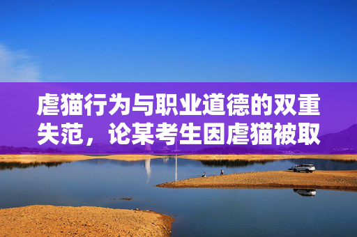 虐猫行为与职业道德的双重失范，论某考生因虐猫被取消招聘资格的深度思考