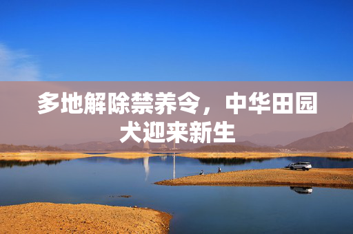 多地解除禁养令，中华田园犬迎来新生
