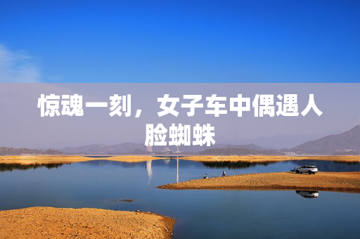 惊魂一刻，女子车中偶遇人脸蜘蛛
