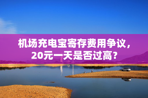 机场充电宝寄存费用争议，20元一天是否过高？
