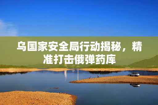 乌国家安全局行动揭秘，精准打击俄弹药库