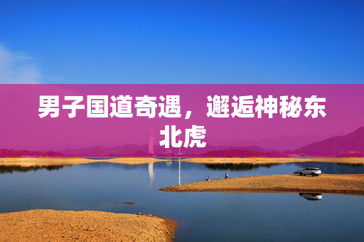 男子国道奇遇，邂逅神秘东北虎