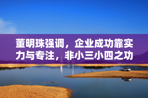董明珠强调，企业成功靠实力与专注，非小三小四之功