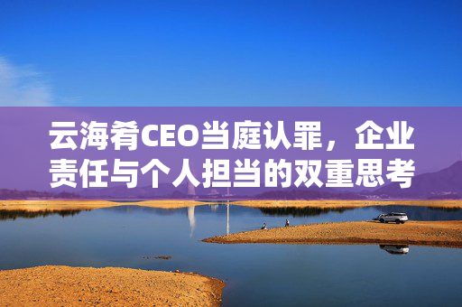 云海肴CEO当庭认罪，企业责任与个人担当的双重思考
