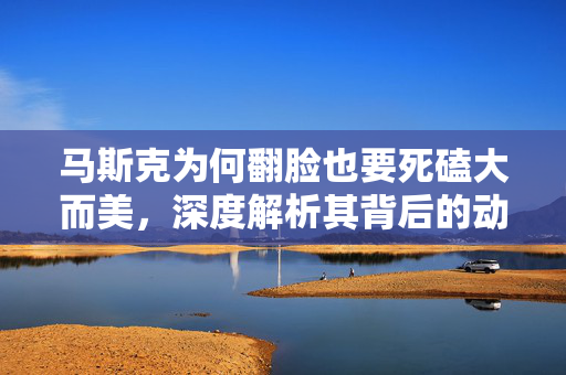 马斯克为何翻脸也要死磕大而美，深度解析其背后的动机与战略考量