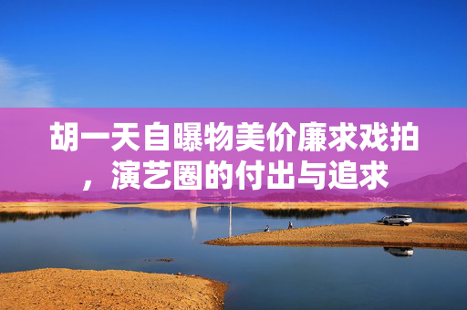 胡一天自曝物美价廉求戏拍，演艺圈的付出与追求