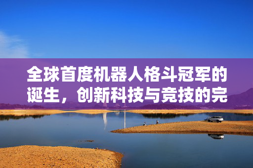 全球首度机器人格斗冠军的诞生，创新科技与竞技的完美融合