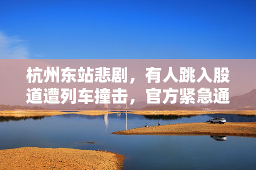 杭州东站悲剧，有人跳入股道遭列车撞击，官方紧急通报