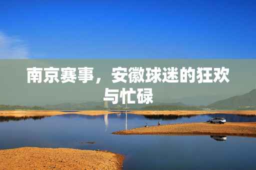 南京赛事，安徽球迷的狂欢与忙碌