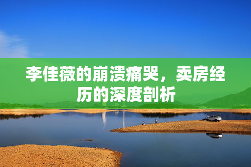 李佳薇的崩溃痛哭，卖房经历的深度剖析