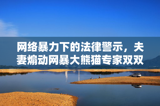 网络暴力下的法律警示，夫妻煽动网暴大熊猫专家双双获刑