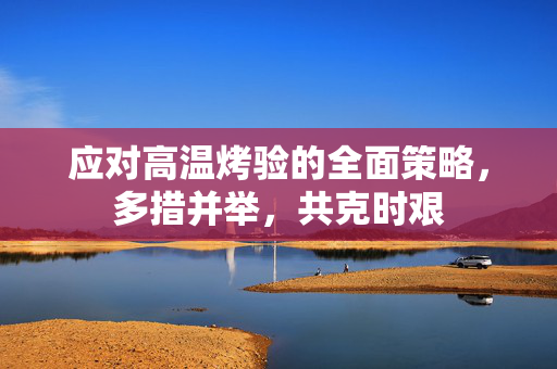 应对高温烤验的全面策略，多措并举，共克时艰