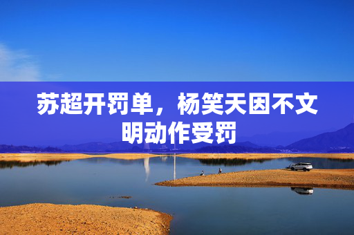 苏超开罚单，杨笑天因不文明动作受罚