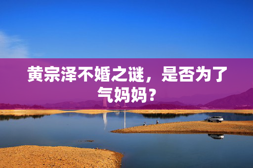 黄宗泽不婚之谜，是否为了气妈妈？