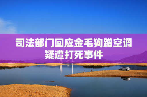 司法部门回应金毛狗蹭空调疑遭打死事件