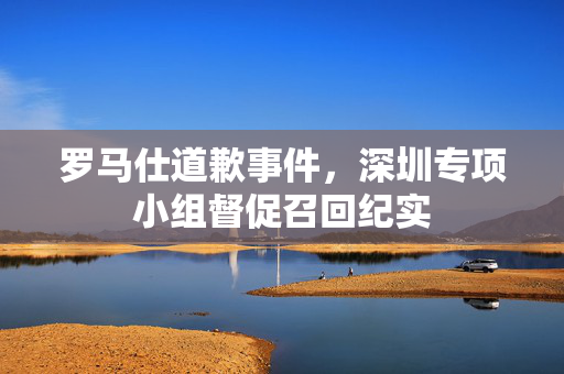 罗马仕道歉事件，深圳专项小组督促召回纪实