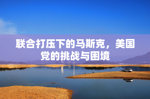 联合打压下的马斯克，美国党的挑战与困境