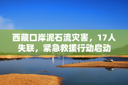 西藏口岸泥石流灾害，17人失联，紧急救援行动启动