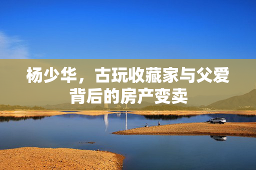 杨少华，古玩收藏家与父爱背后的房产变卖